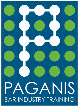 Paginis – Logo 2