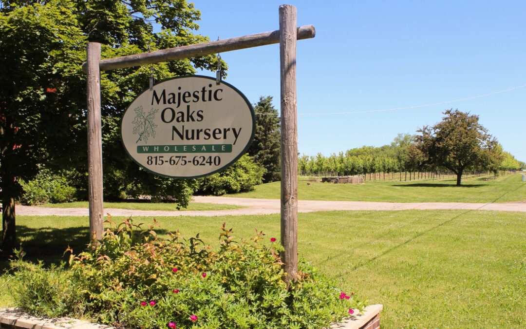 Small Businesses Doing Big Things; Majestic Oaks Nursery